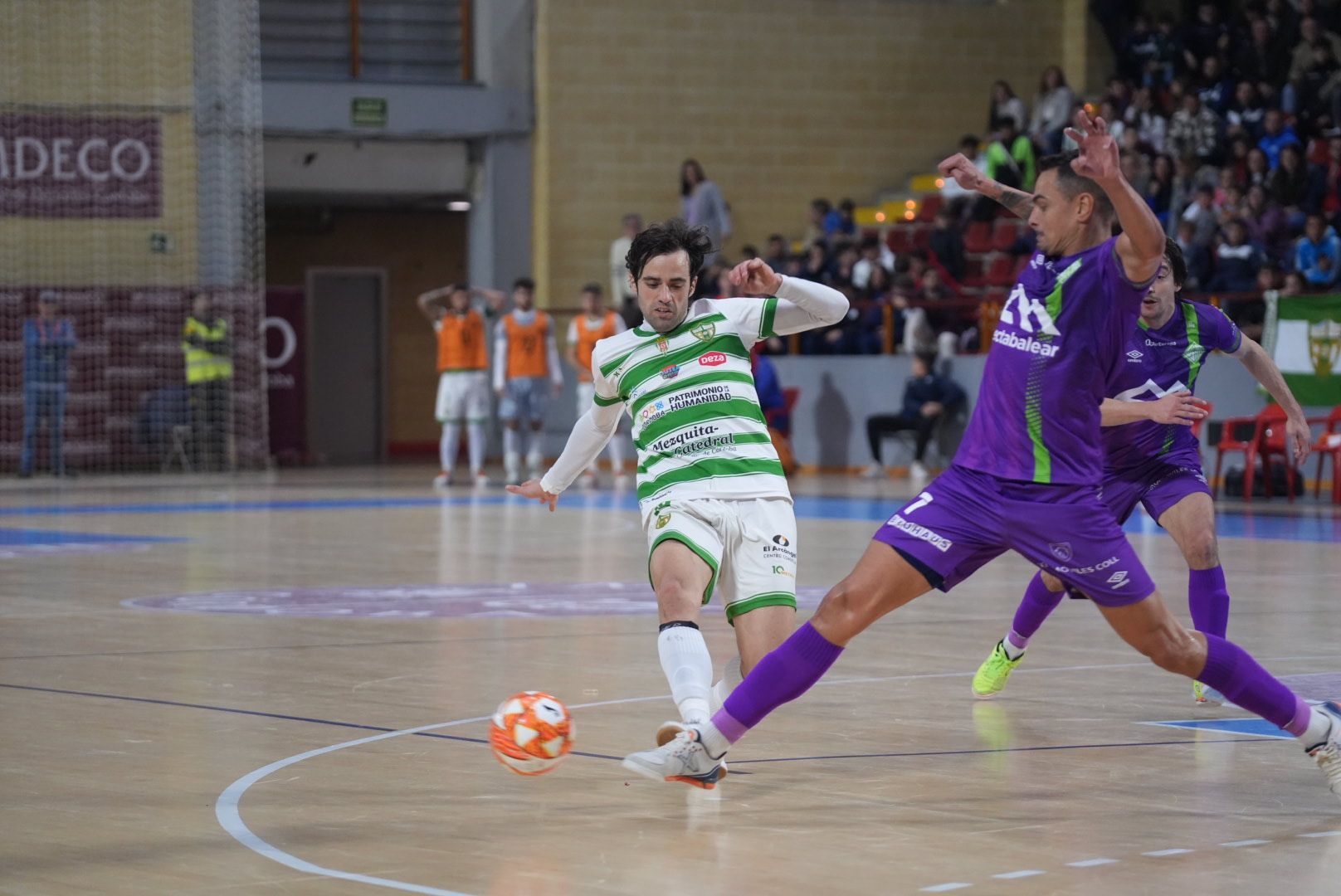 Las imágenes del Córdoba Futsal contra el Palma en Vista Alegre