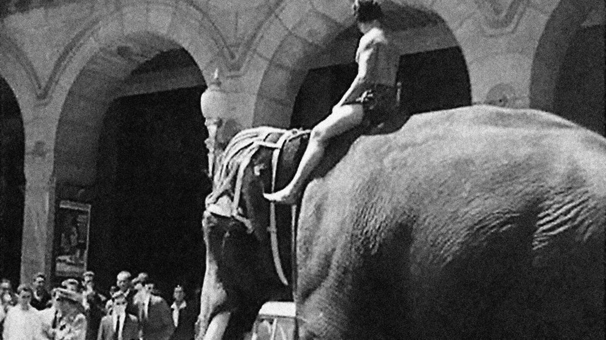 Miembro de la troupe del Circo Espñaol emula a Tarzán, 1959