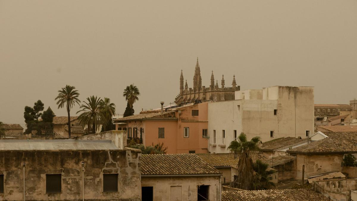 Calima en Palma este viernes.