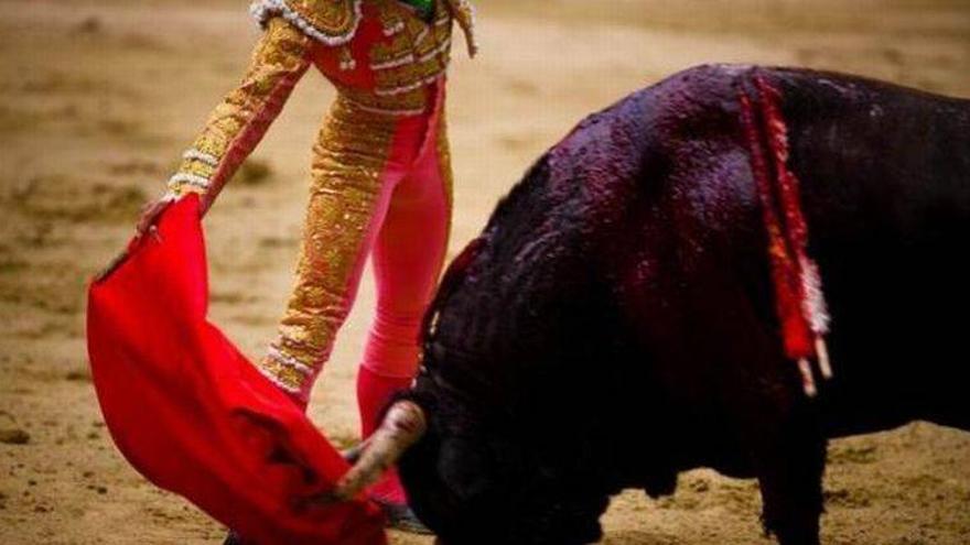 Francia da el visto bueno a las corridas de toros