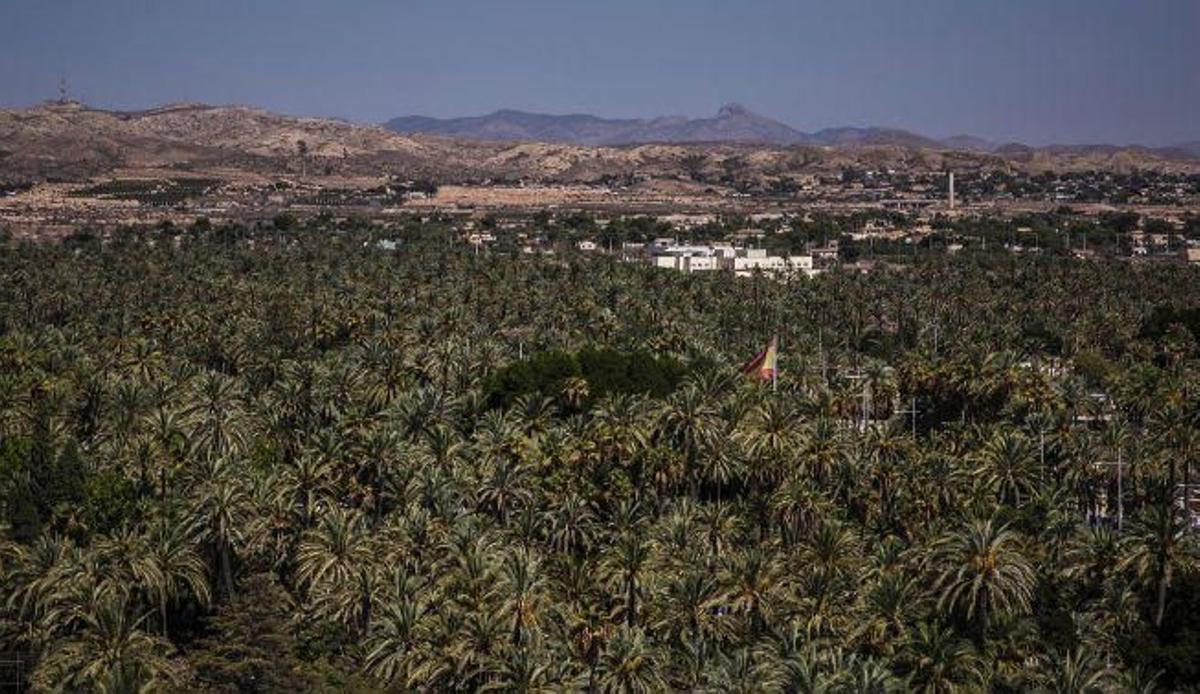 Palmeral de Elx