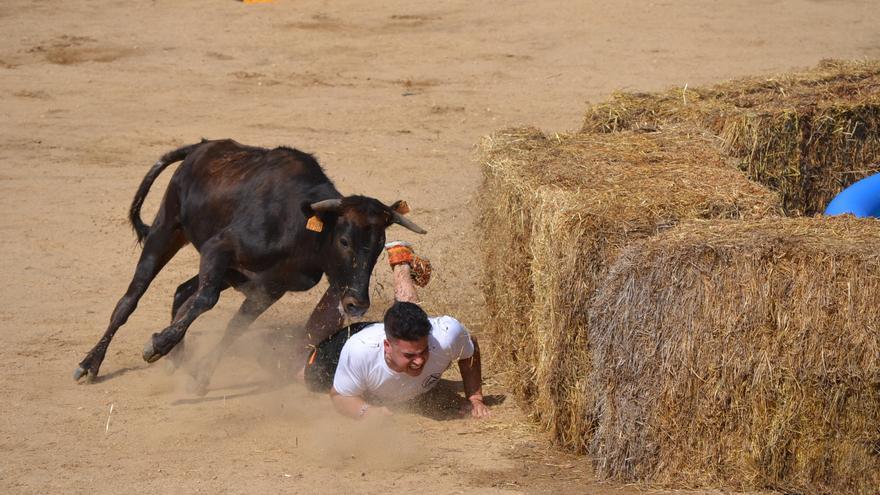 GALERÍA | El Gran Prix de las Fiestas del Toro de Benavente, en imágenes