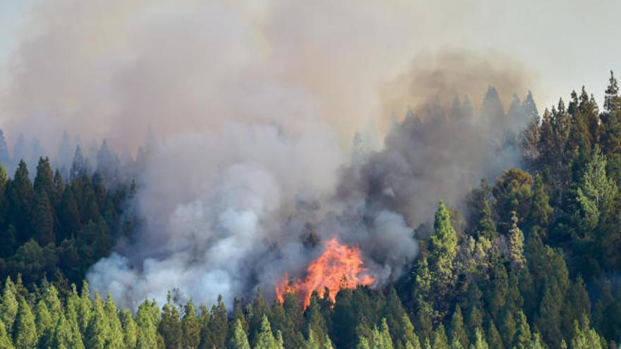 El presidente de la Heredad de Aguas se niega a declarar sobre el incendio