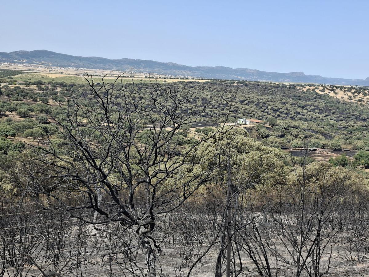 Fotogalería | Las consecuencias del incendio de Herrera del Duque, en imágenes Fotogalería | Las consecuencias del incendio de Herrera del Duque, en imágenes