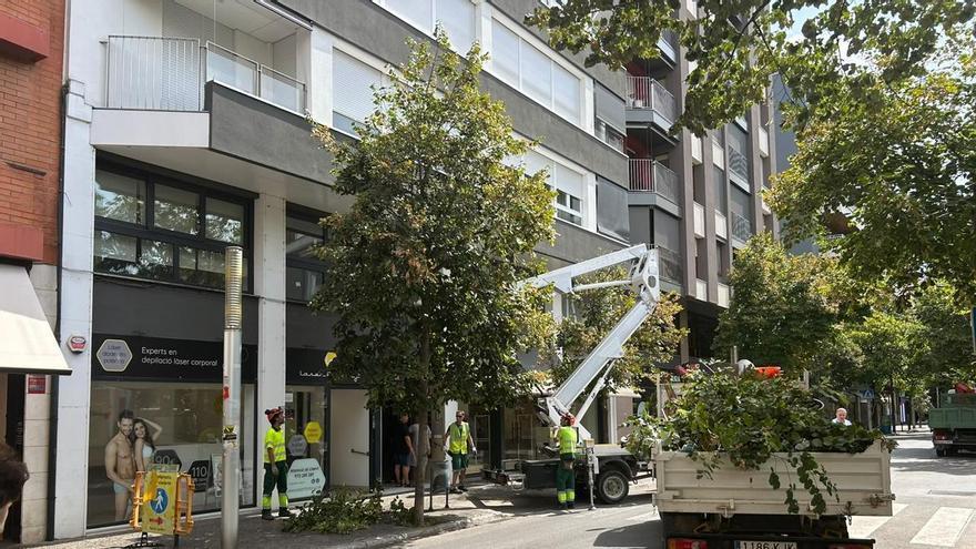 Girona talla el carrer de Sant Antoni Maria Claret durant cinc dies per treballs de poda