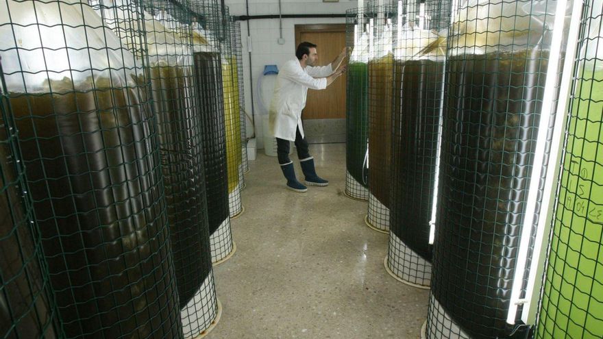 El deterioro del IEO de Vigo se expande y obliga a suspender las actividades en laboratorios
