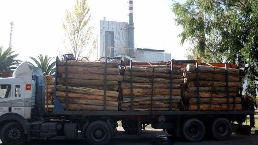 Un camión de madera ante Ence