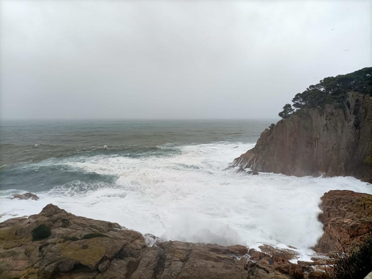 Les fotos dels efectes de la llevantada a les comarques gironines