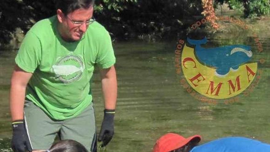 Dos voluntarios tratan de reflotar a uno de los delfines. // Cemma