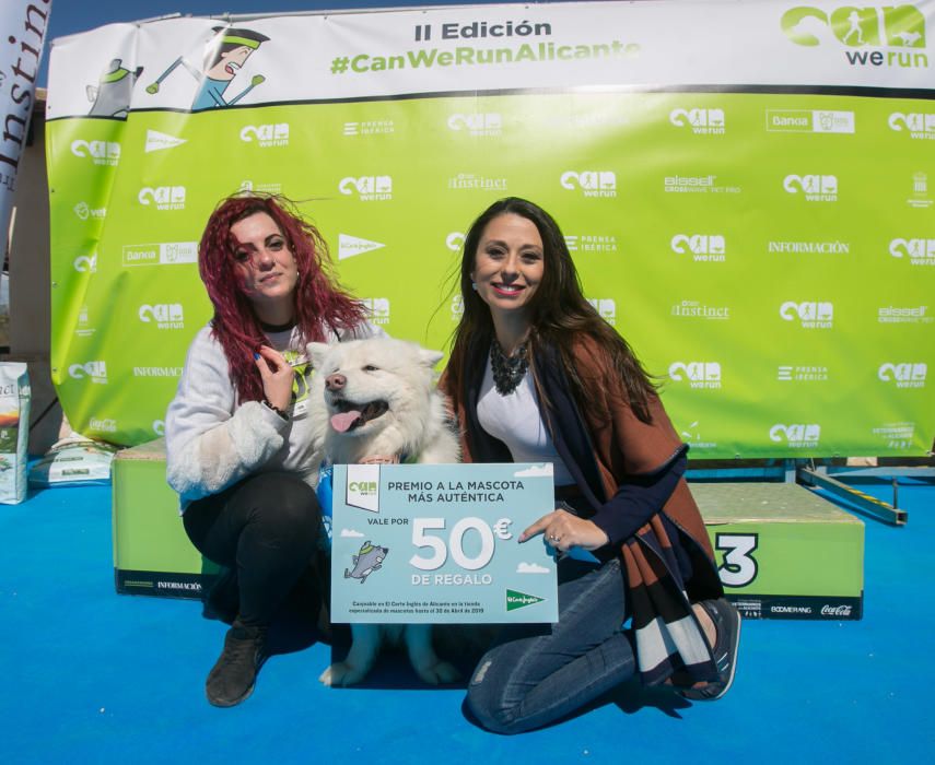 Can We Run: Gran carrera de perros para la concienciación animal