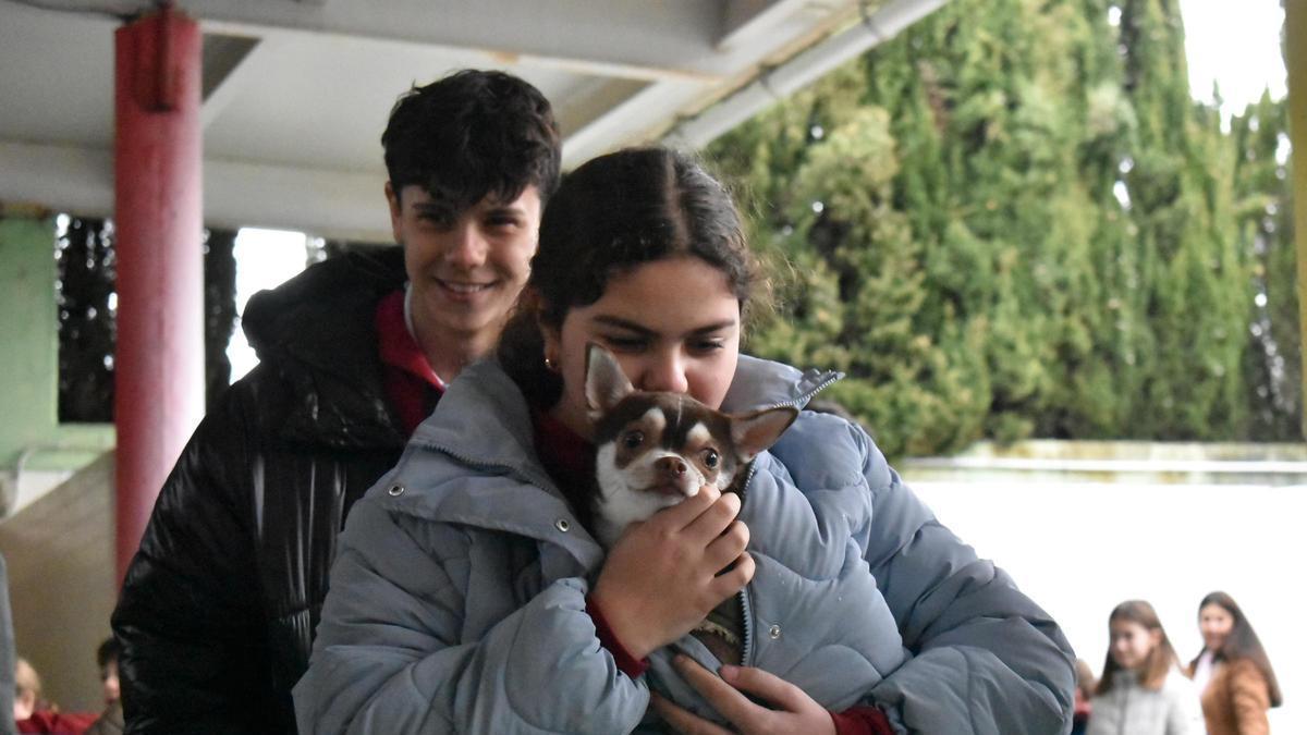 El colegio San Antonio de Cáceres adopta y bendice a las mascotas de la ciudad por San Antón