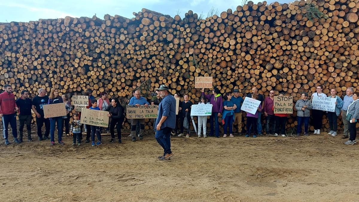 Manifestación ante los pinnos talados en Ferreras de Arriba