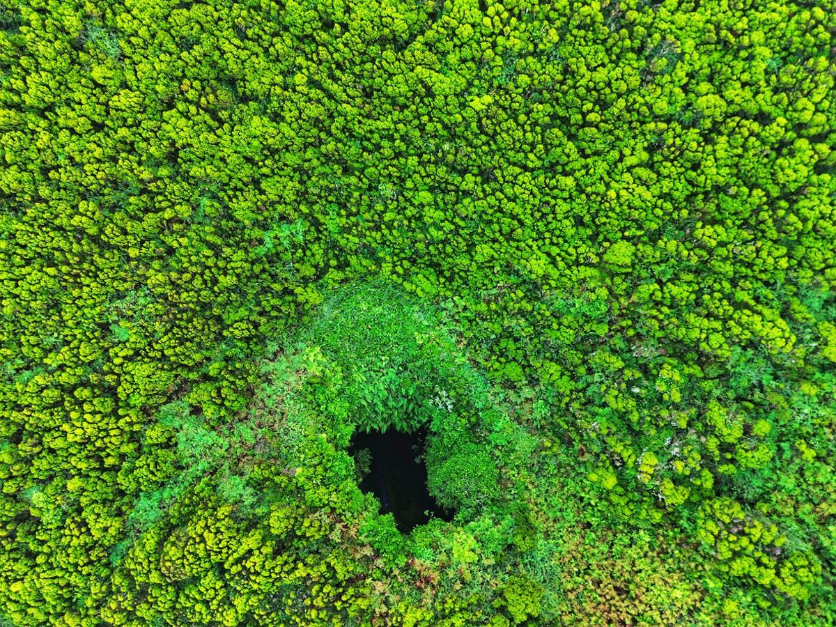 Un paisaje tan exótico que parece hecho con IA, pero es real.