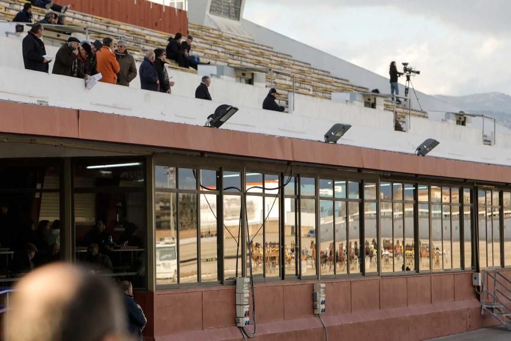 Ambiente en el hipódromo de Son Pardo