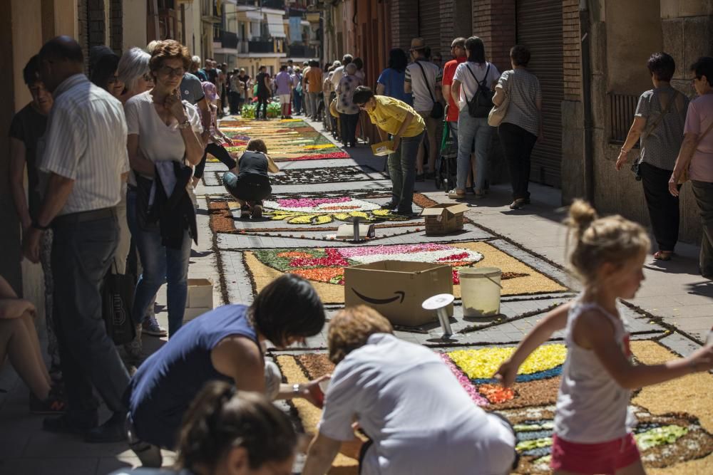 El concurs de catifes de flors naturals omple Arbúcies