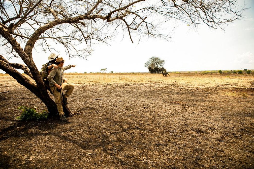 Masai Mara es el lugar perfecto para fotografiar la fauna salvaje de Kenia