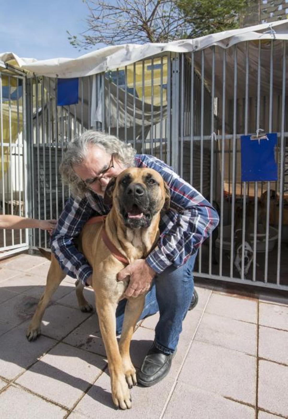 03/01/2019 ARUCAS. Albergue Insular de animales. Enrique Rodríguez, presidente del Colegio de Veterinarios. FOTO: J. PÉREZ CURBELO