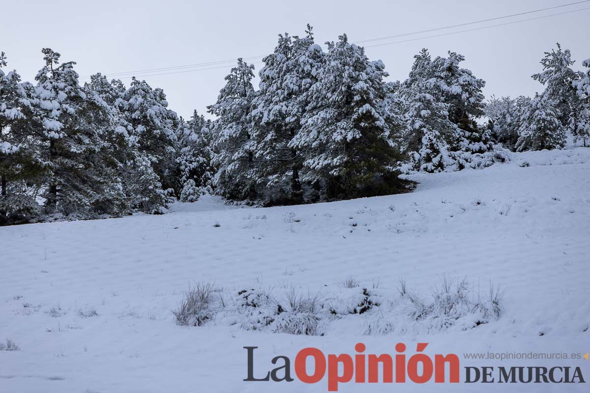 La comarca del Noroeste ofrece una estampa invernal