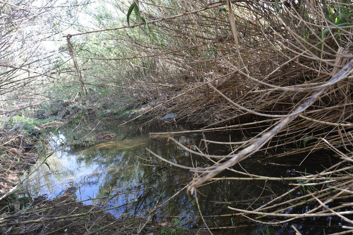 Fotogalería | Obras de mejora en la Ribera del Marco de Cáceres