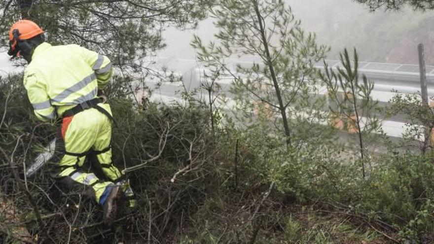 Un operari d&#039;Adif treballant ahir al matí per desbrossar la zona de l&#039;accident ferroviari de Vacarisses