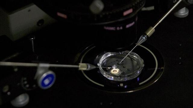 Un investigador utiliza una técnica de edición genética, en una imagen de archivo.