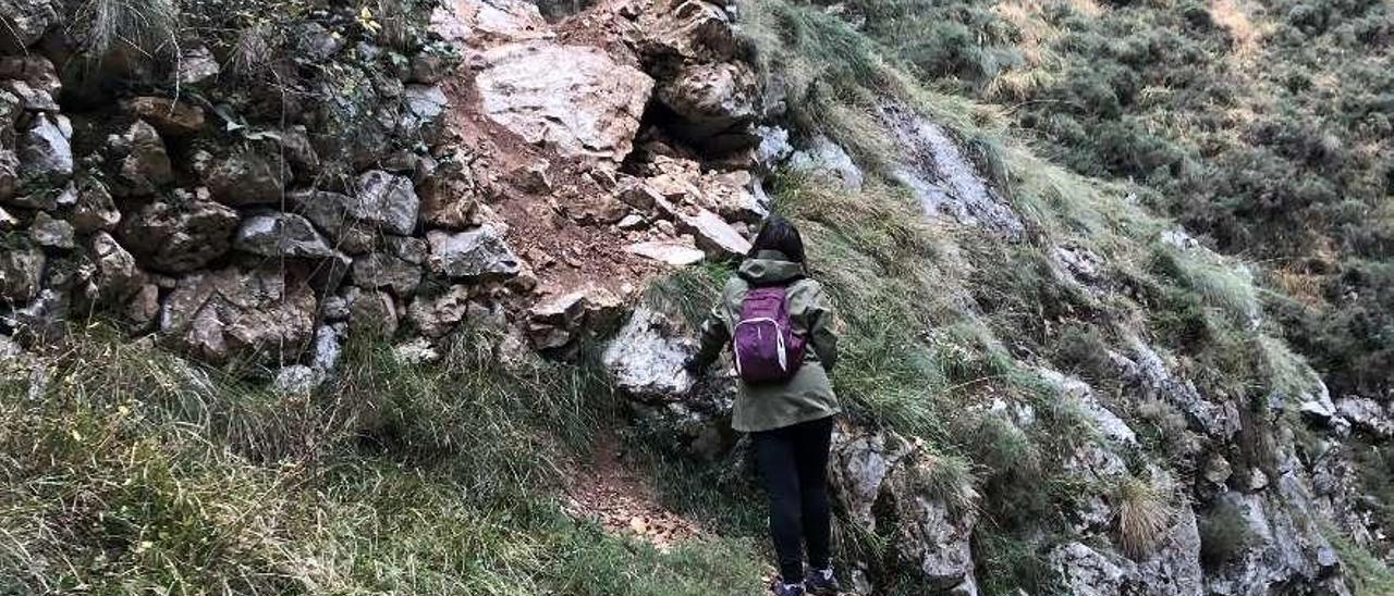 Una paseante observa el argayo en la ruta a Bulnes por la Canal del Texu.