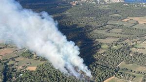 Estabilitzat un incendi a Palamós  i Mont-ras