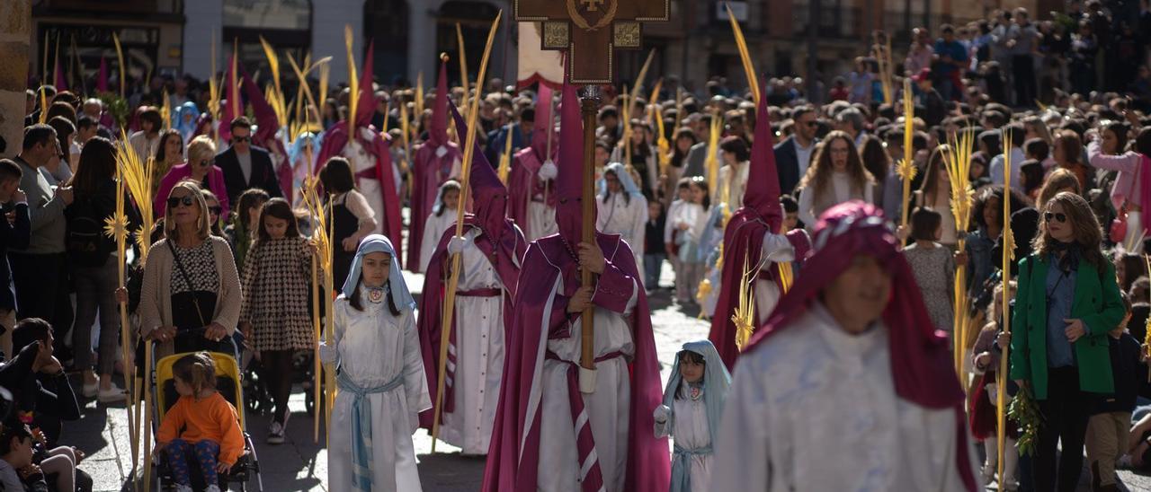 La Borriquita: Real Cofradía de Jesús en su Entrada Triunfal en Jerusalén