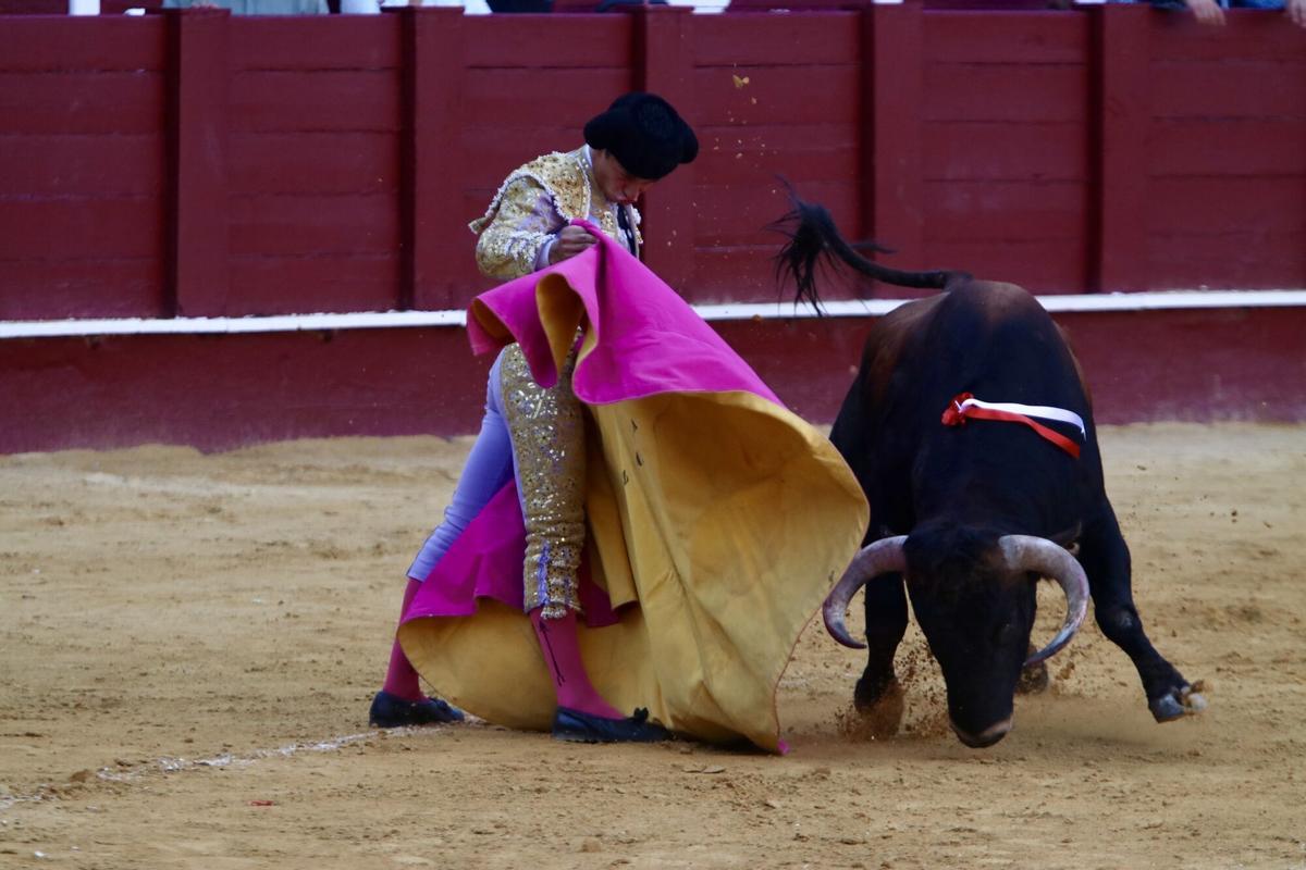 Novillada inaugural de la Feria Taurina