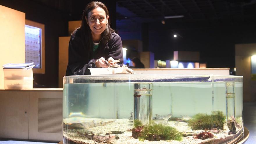 Una mirada distinta al asesino de los mares