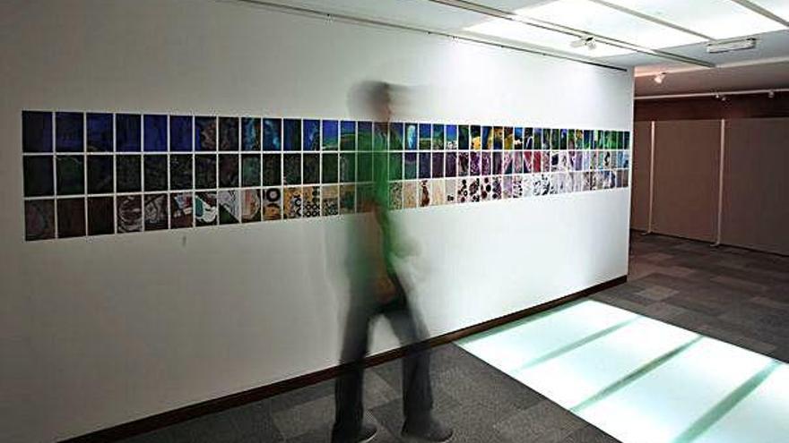 Alrededor de 300 fotografías se integran en la exposición en la Casa Bardín.