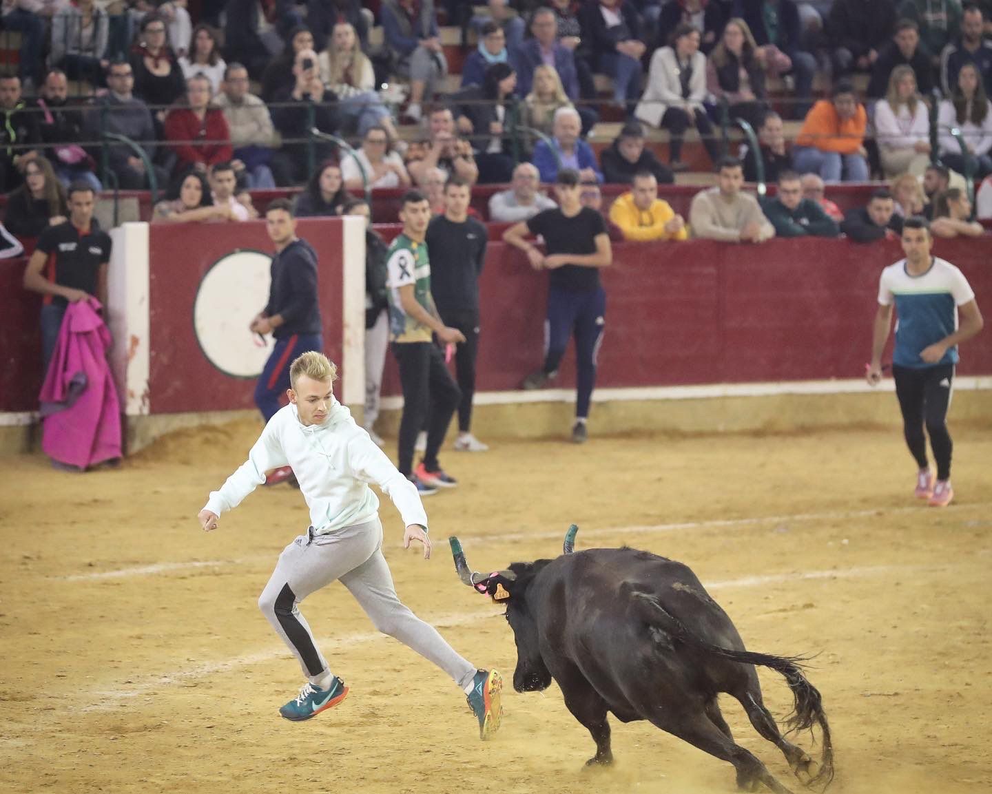 Mañana de vaquillas en la Misericordia, este jueves