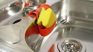 La frecuencia con la que debes lavar y tirar tu estropajo de cocina utilizado para lavar platos, vasos y sartenes