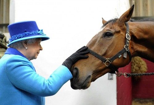 Britain's Queen Elizabeth pats former Grand National favourite Teaforthree, during her visit to Cotts Equine Hospital in Narberth, Wales