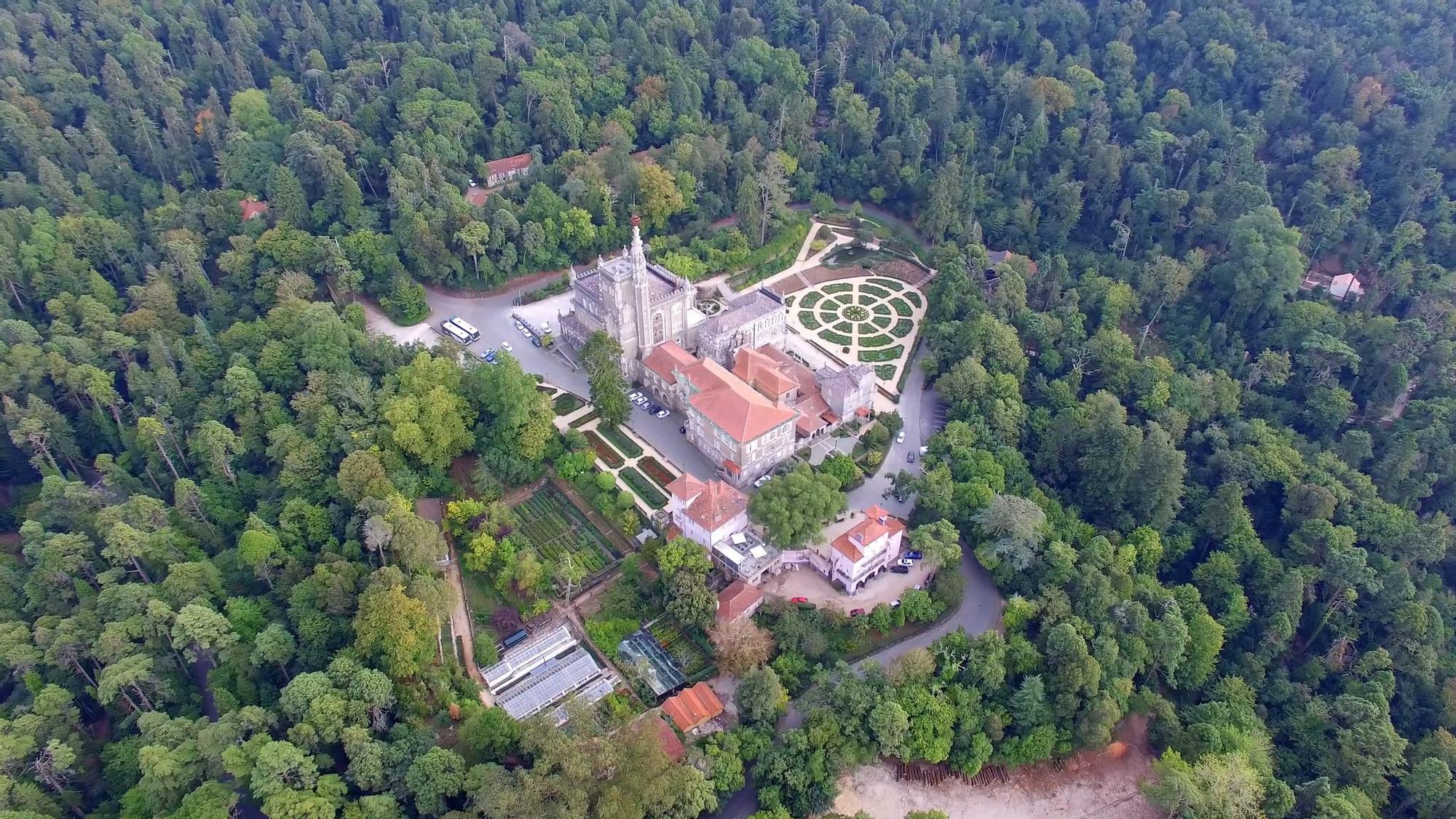 Mata Nacional do Buçaco