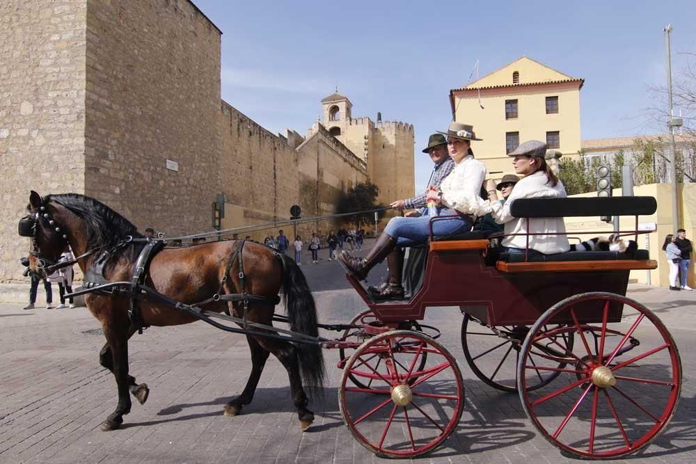 Córdoba celebra el 28-F con una marcha hípica