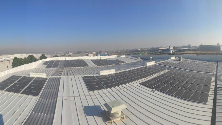 Iberitos instala una planta fotovoltaica de autoconsumo en Don Benito