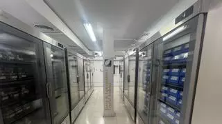 La Junta invertirá 840.000 euros hasta 2027 en el Banco de Germoplasma Vegetal de Córdoba: El Arca de Noé que custodia el futuro de la flora silvestre
