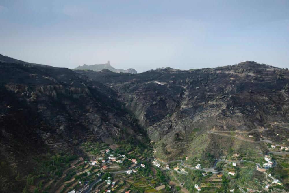 Incendio en Gran Canaria | Quinto día