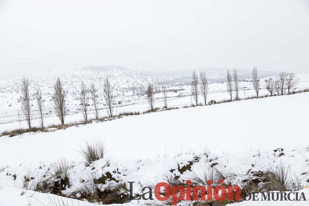 La comarca del Noroeste ofrece una estampa invernal