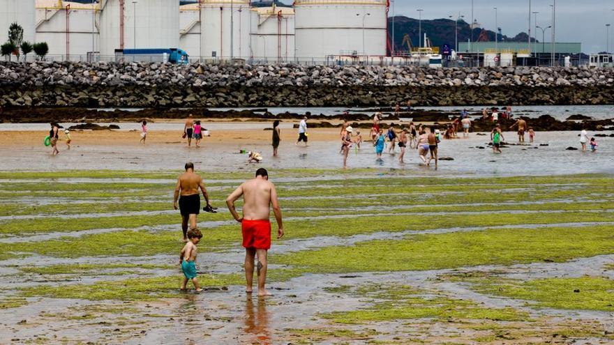 Bañistas, ayer, entre las algas del Arbeyal.