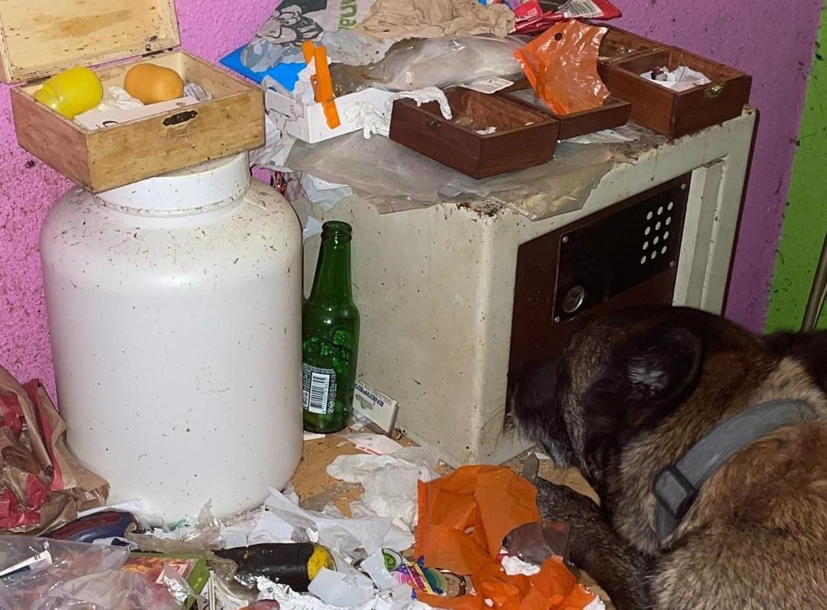 Un agente canino en la inspección del piso