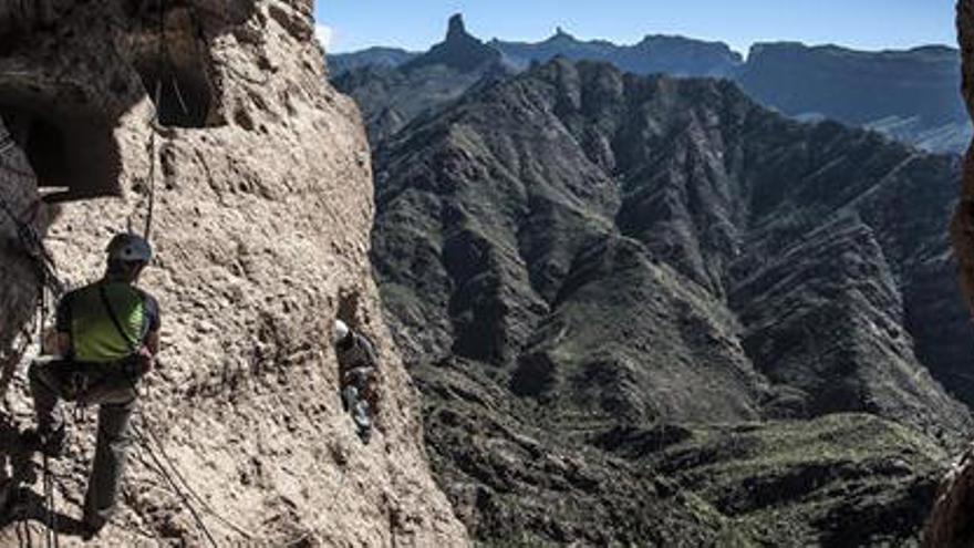 La variedad de cebada canaria, una reliquia prehispánica