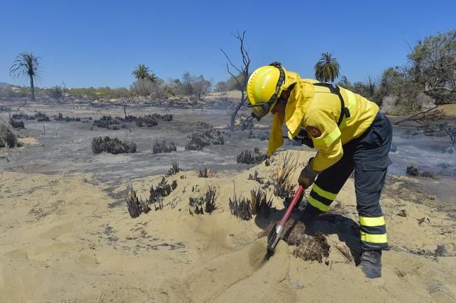 Incendio en la zona de las dunas de Maspalomas