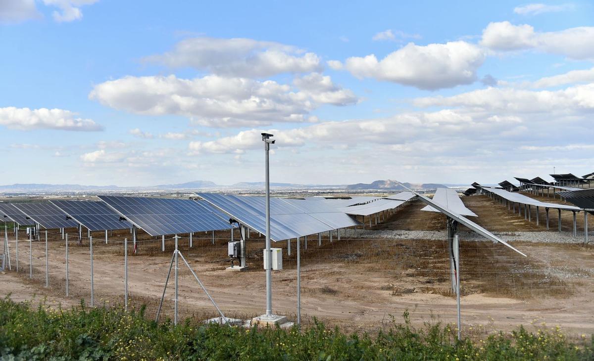Un parque fotovoltaico construido en el entorno de El Algar, cerca del camino del Sifón.