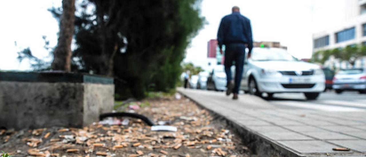 Los jardines que separan el Hospital Insular de la autovía marítima, repletos de basura, ayer.