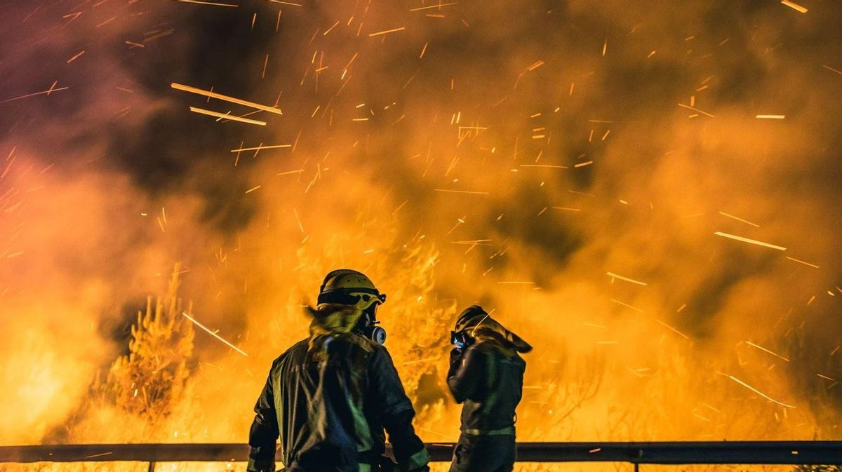 Los incendios amenazan a las libélulas