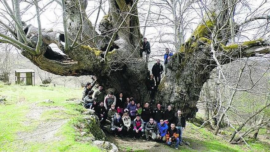 Los alumnos, junto a un castaño de más de un millar de años en la Ribeira Sacra.