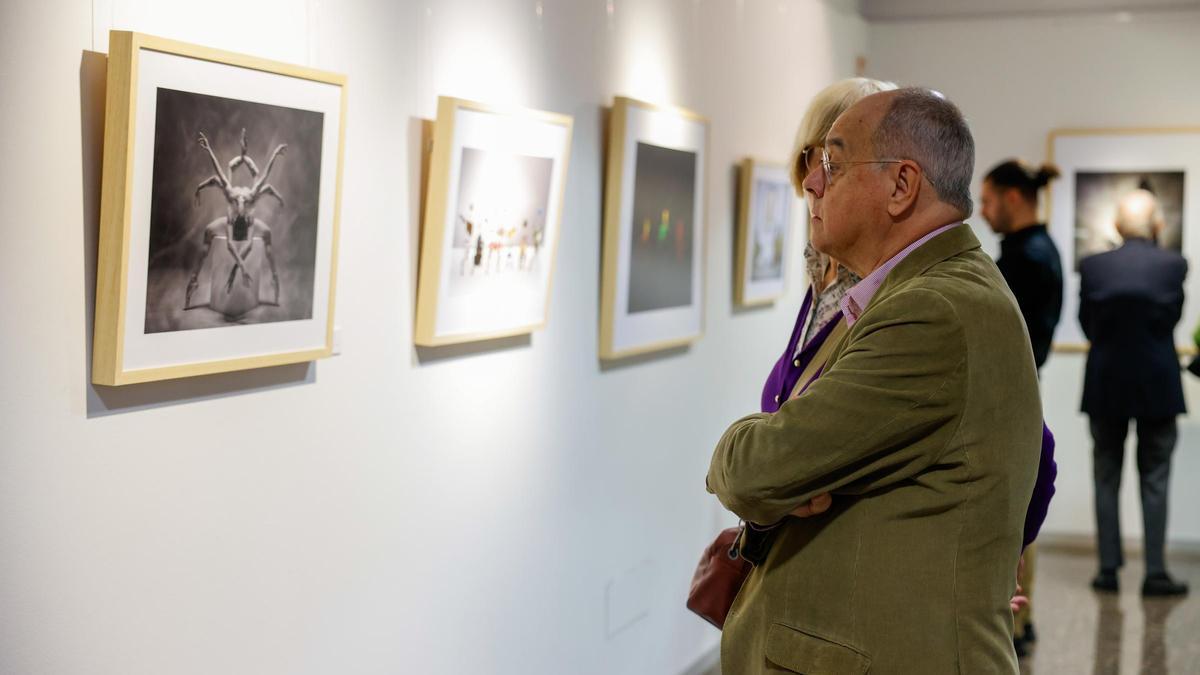 La exposición se podrá ver en esta edición en dos fases en el Patio de la Infanta de Zaragoza.
