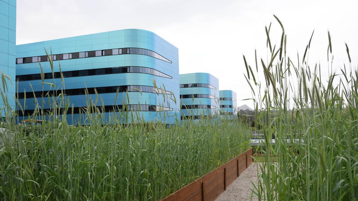 Hospital Álvaro Cunqueiro.
